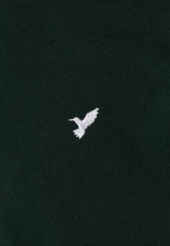 Pier One 5 Pack - Camiseta Básica - White/Ark Green/Blue -Pier One Ventas 19822f95d4c243b5a7cfa8d503e23581