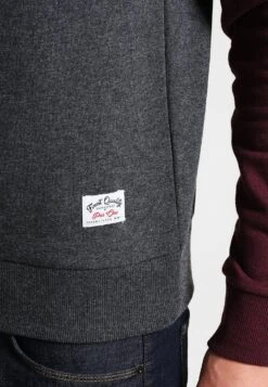 Pier One Sudadera - Mottled Bordeaux 10 Pier One Sudadera - Mottled Bordeaux -Pier One Ventas 933af90532604b1e8e6c7d7291f58f04